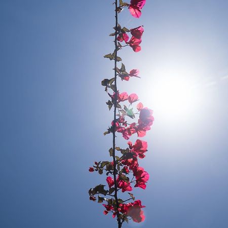 Aroma Studios Argostoli  Ngoại thất bức ảnh