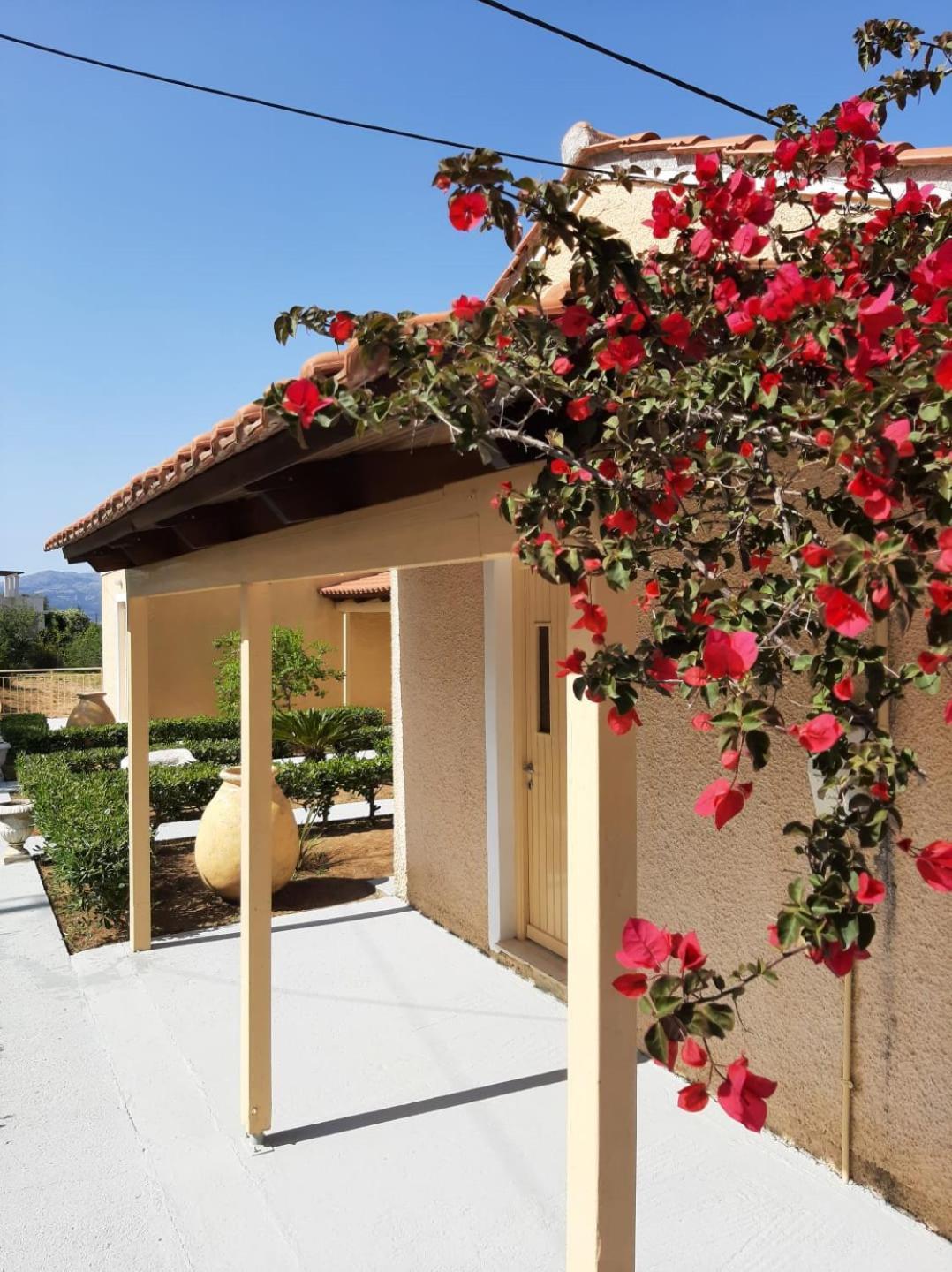 Aroma Studios Argostoli  Ngoại thất bức ảnh